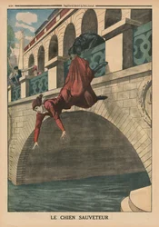 Ein rettender Hund, Titelbildillustration aus 